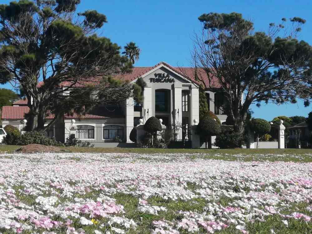 Spring flowers in front of Villa Tuscana in Summerstrand